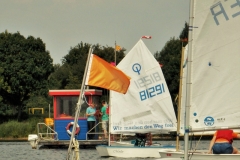 Auch Regatten fahren unsere OptiKids