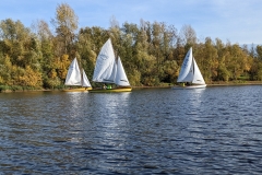 Regatta auf dem Elfrather See