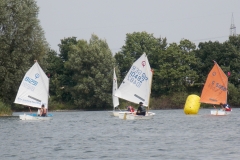Optiband blau-rot 2017